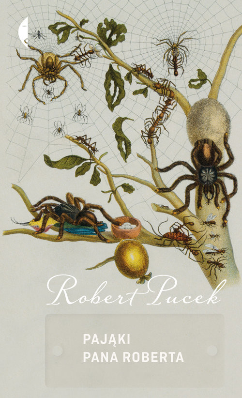 okładka Pająki pana Roberta książka | Robert Pucek
