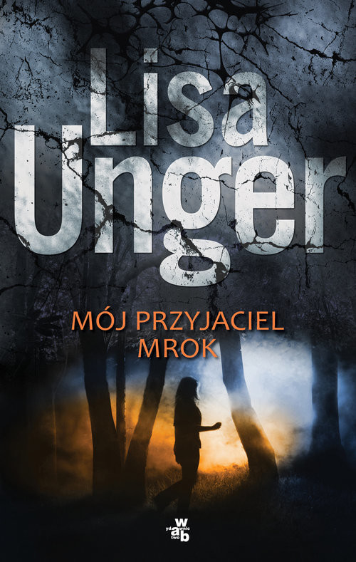 okładka Mój przyjaciel mrok książka | Lisa Unger