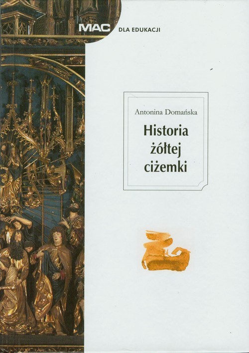 okładka Historia żółtej ciżemki książka | Antonina Domańska