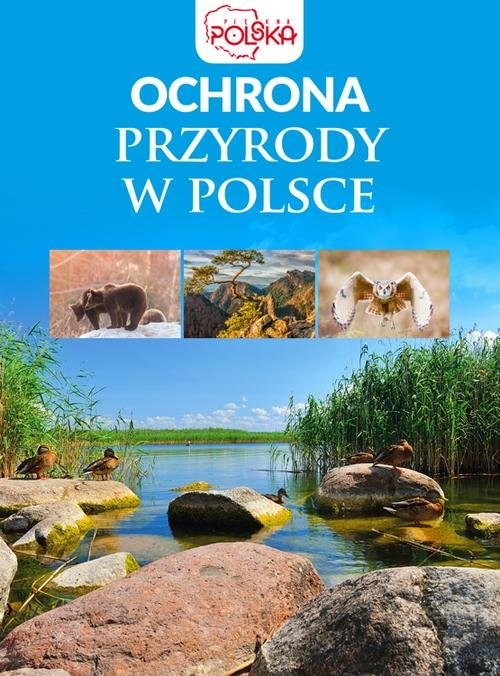 okładka Ochrona przyrody w Polsceksiążka |  | Opracowania Zbiorowe