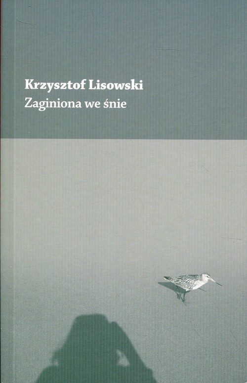 okładka Zaginiona we śnieksiążka |  | Lisowski Krzysztof