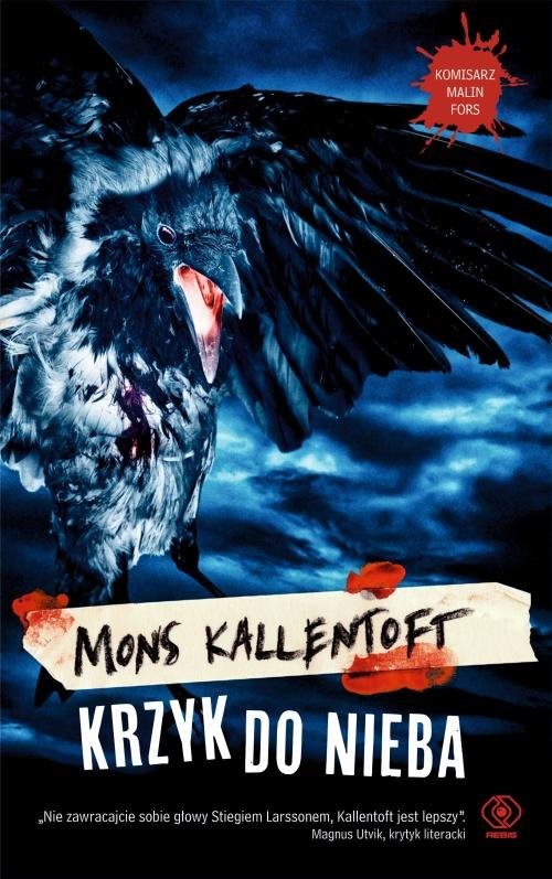 okładka Krzyk do nieba książka | Mons Kallentoft