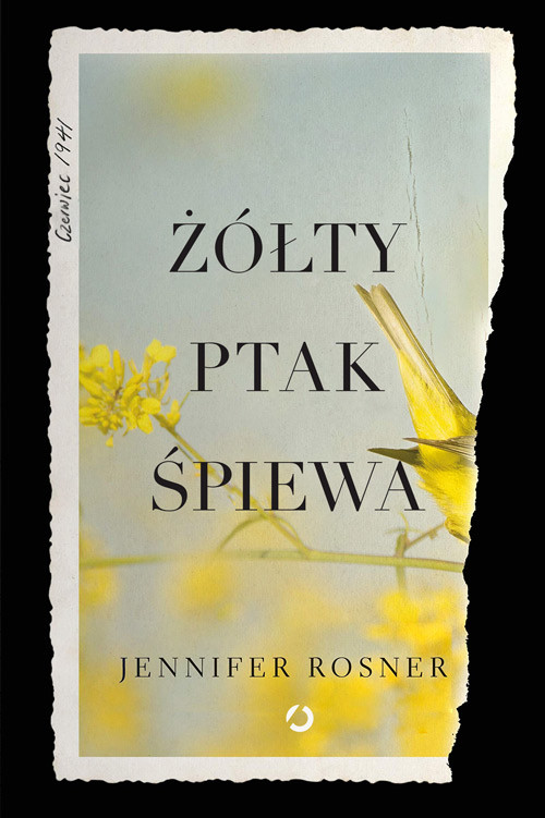 okładka Żółty Ptak Śpiewa książka | Rossner Jennifer