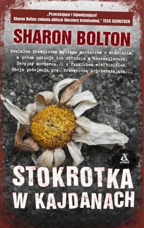 okładka Stokrotka w kajdanach książka | Sharon Bolton