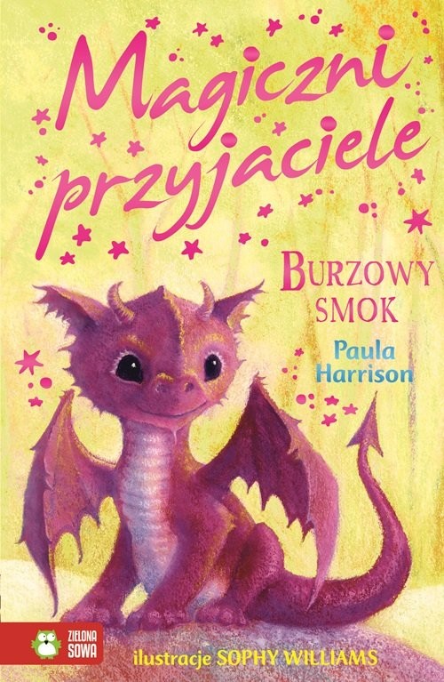okładka Magiczni przyjaciele Burzowy smok książka | Paula Harrison