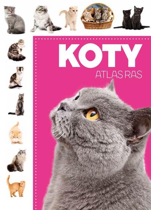 okładka Koty Atlas rasksiążka |  | 