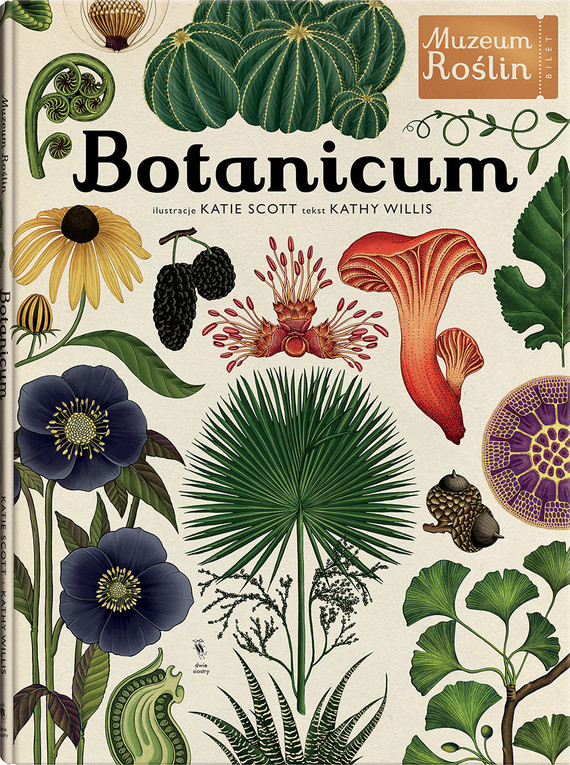 okładka Botanicum książka | Cathy Willis