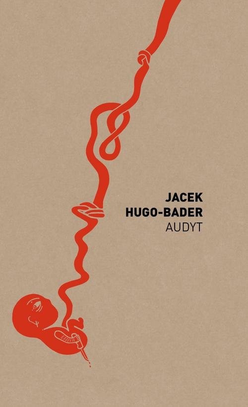 okładka Audyt książka | Jacek Hugo-Bader