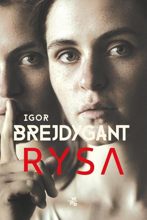okładka Rysa książka | Igor Brejdygant