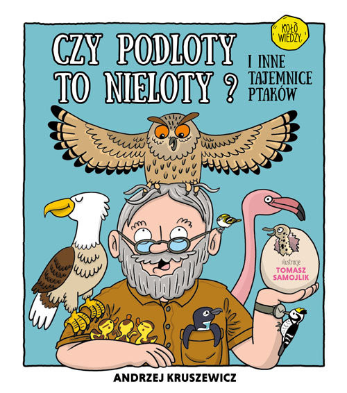 okładka Czy podloty to nieloty I inne tajemnice ptaków książka | Andrzej Kruszewicz