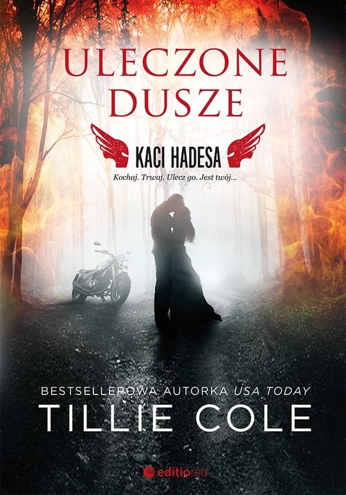 okładka Uleczone dusze Kaci Hadesa książka | Tillie Cole
