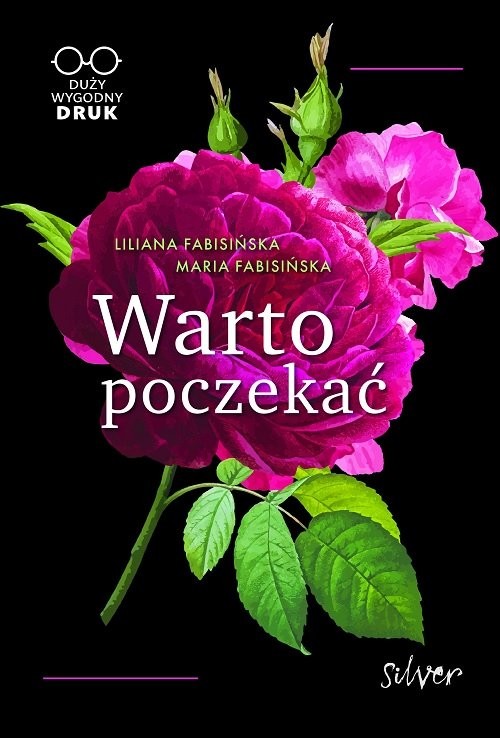 okładka Warto poczekać książka | Liliana Fabisińska, Maria Fabisińska