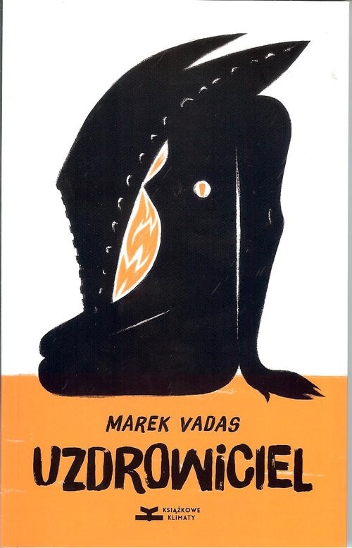 okładka Uzdrowiciel książka | Marek Vadas