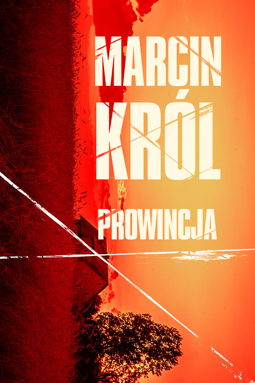 okładka Prowincja książka | Marcin Król