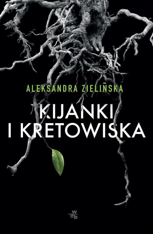 okładka Kijanki i kretowiska książka | Aleksandra Zielińska