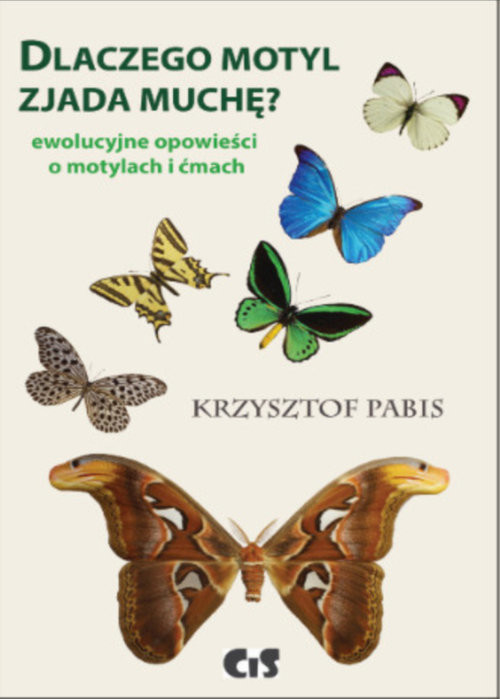 okładka Dlaczego motyl zjada muchę Ewolucyjne opowieści o motylach i ćmach książka | Krzysztof Pabis