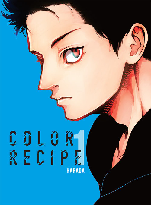 okładka Color Recipe 1 książka | Harada