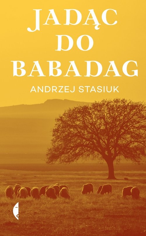 okładka Jadąc do Babadag książka | Andrzej Stasiuk