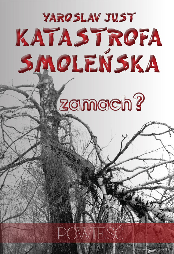 okładka Katastrofa smoleńska ebook | pdf | Yaroslav Just