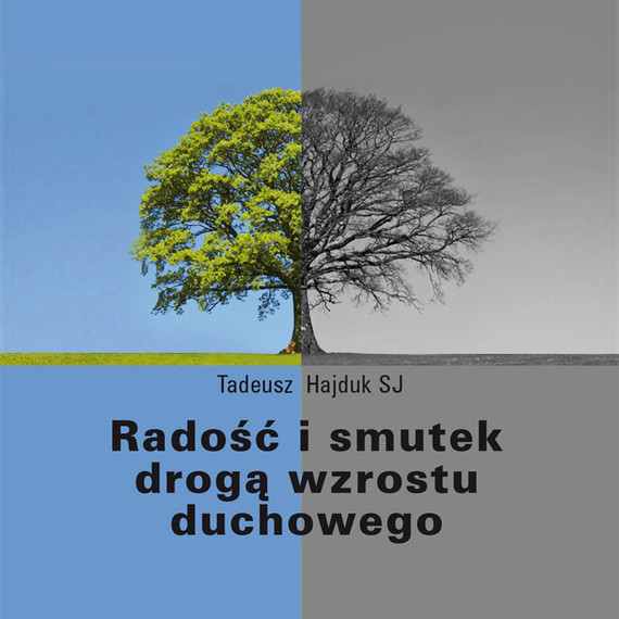 okładka Radość i smutek drogą wzrostu duchowegoaudiobook | MP3 | Tadeusz Hajduk SJ
