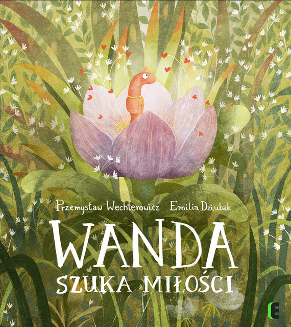 okładka Wanda szuka miłości książka | Przemysław Wechterowicz, Emilia Dziubak