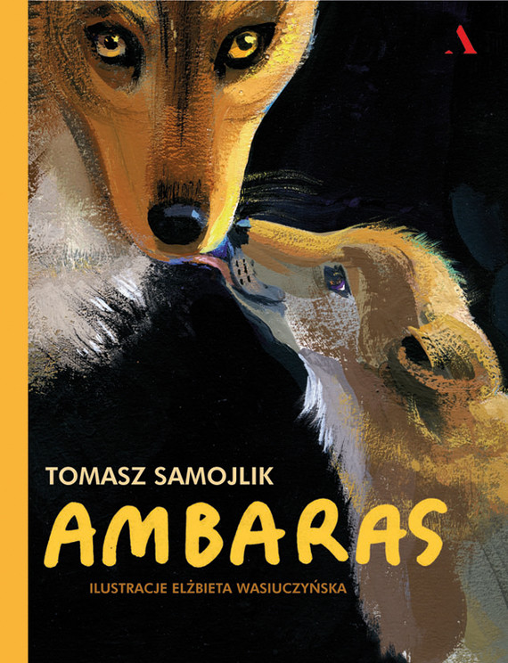 okładka Ambaras ebook | epub, mobi | Samojlik Tomasz