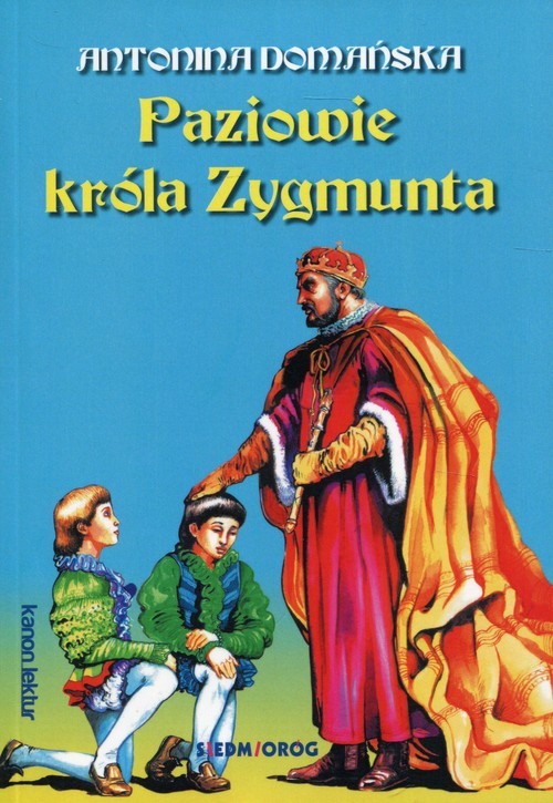 okładka Paziowie króla Zygmunta książka | Antonina Domańska
