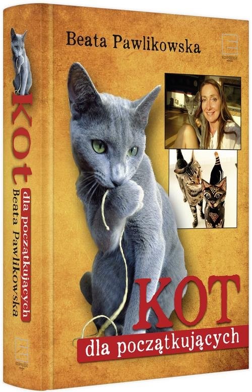 okładka Kot dla początkujących książka | Beata Pawlikowska
