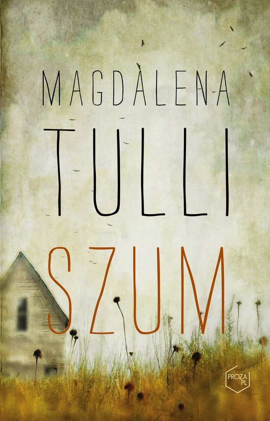 okładka Szum ebook | epub, mobi | Magdalena Tulli