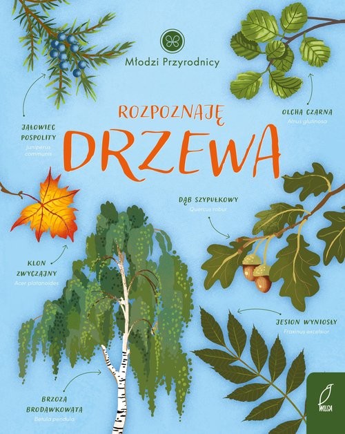 okładka Młodzi przyrodnicy Rozpoznaję drzewa książka | Patrycja Zarawska