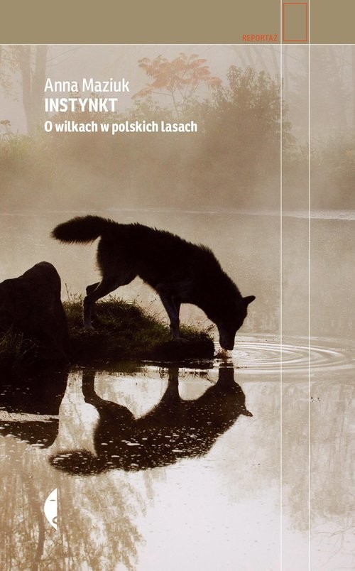 okładka Instynkt O wilkach w polskich lasach książka | Anna Maziuk