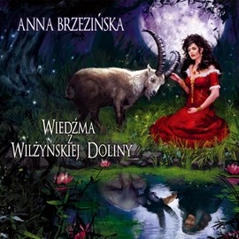 okładka Wiedźma z Wilżyńskiej Dolinyaudiobook | MP3 | Anna Brzezińska