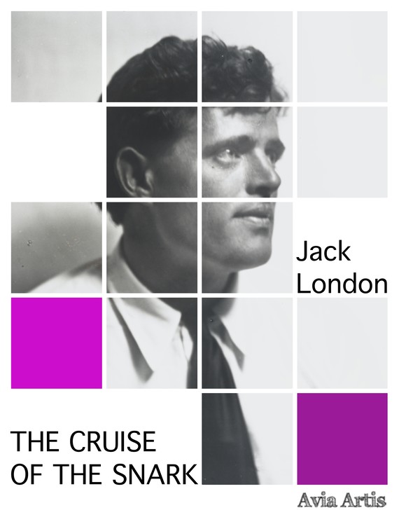 okładka The Cruise of the Snarkebook | epub, mobi | Jack London