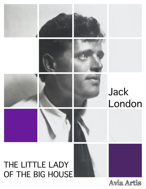 okładka The Little Lady of the Big House ebook | epub, mobi | Jack London