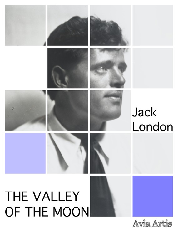 okładka The Valley of the Moonebook | epub, mobi | Jack London