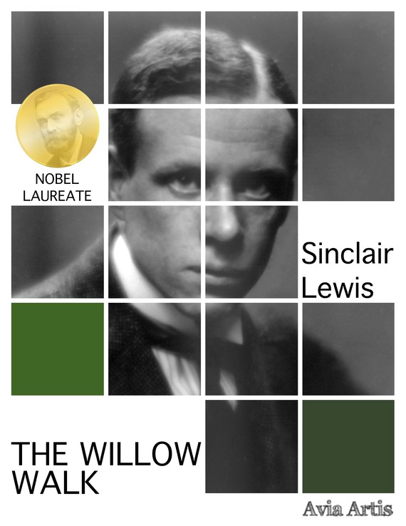 okładka The Willow Walkebook | epub, mobi | Sinclair Lewis