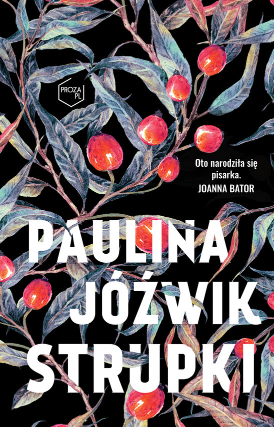 okładka Strupki ebook | epub, mobi | Paulina Jóźwik