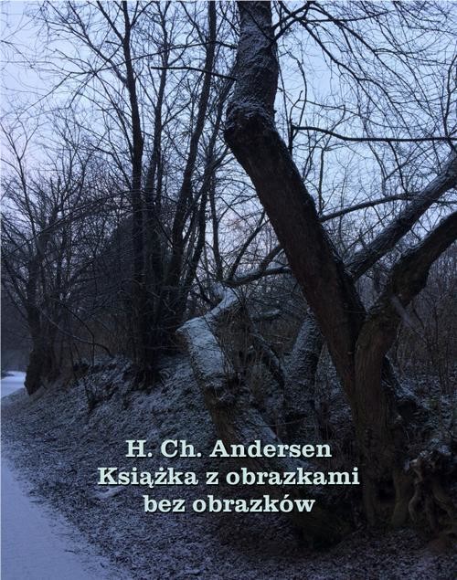 okładka Książka z obrazkami bez obrazków ebook | epub, mobi | Hans Christian Andersen
