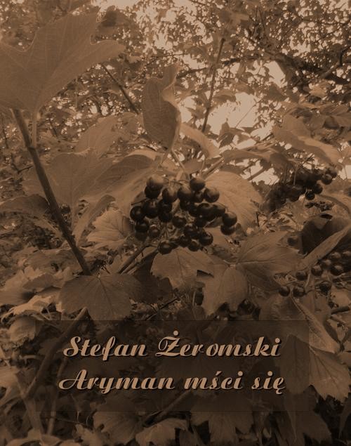 okładka Aryman mści sięebook | epub, mobi | Stefan Żeromski