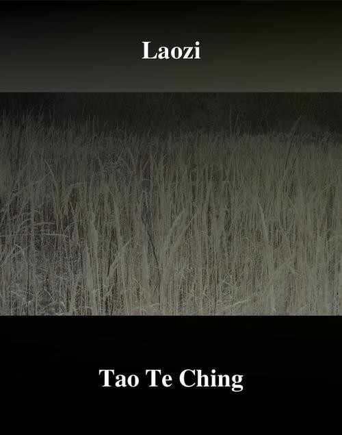 okładka Tao Te Ching. Księga Drogi i Cnoty ebook | epub, mobi | Laotse Laozi