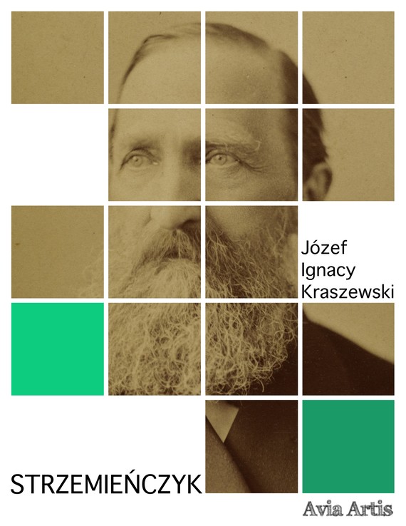 okładka Strzemieńczyk ebook | epub, mobi | Józef Ignacy Kraszewski