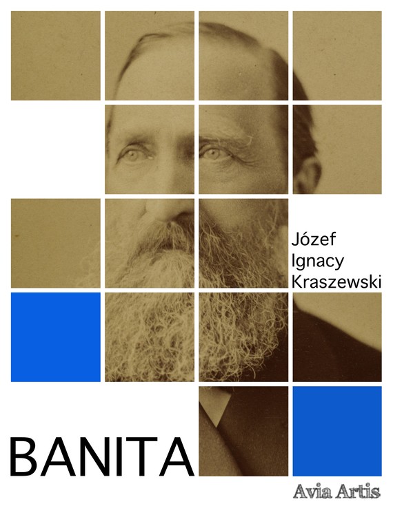 okładka Banita ebook | epub, mobi | Józef Ignacy Kraszewski