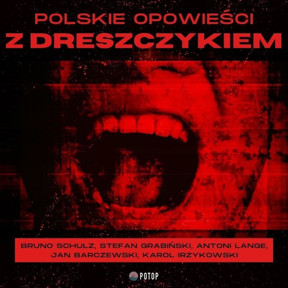 okładka Polskie opowieści z dreszczykiem audiobook | MP3 | Bruno Schulz, Stefan Grabiński, Karol Irzykowski