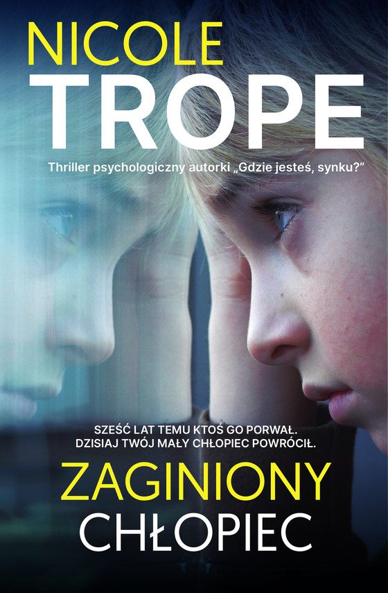 okładka Zaginiony chłopiec ebook | epub, mobi | Nicole Trope