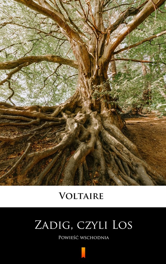 okładka Zadig, czyli Losebook | epub, mobi | Voltaire