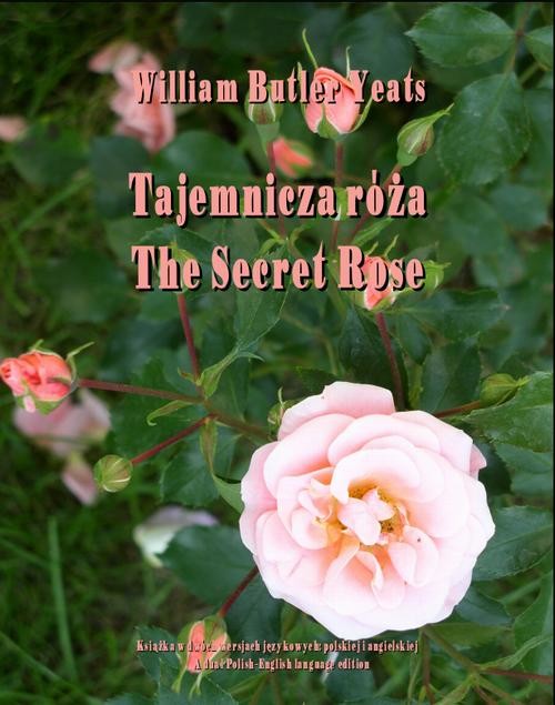okładka Tajemnicza róża ebook | epub, mobi | William Butler Yeats