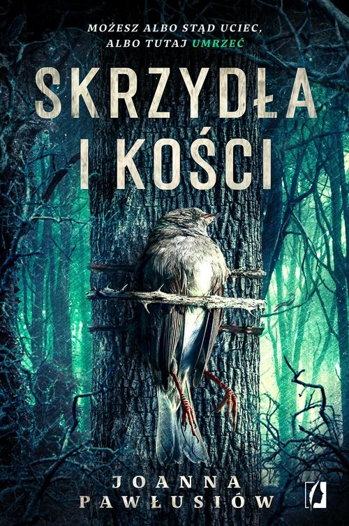 okładka Skrzydła i kości książka | Joanna Pawłusiów
