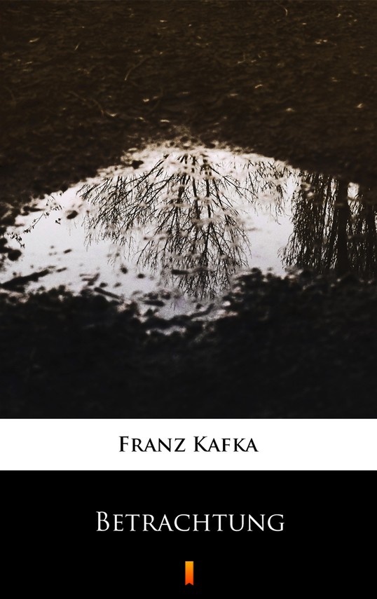 okładka Betrachtung ebook | epub, mobi | Franz Kafka