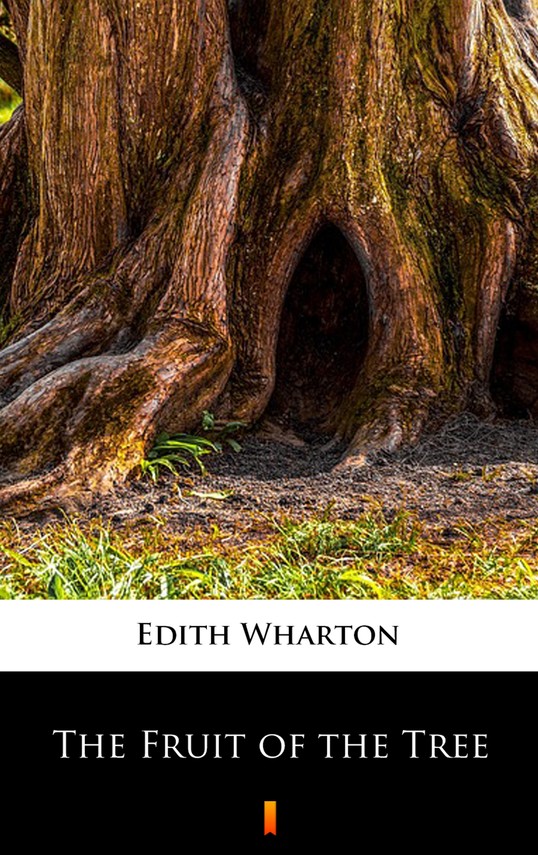 okładka The Fruit of the Tree ebook | epub, mobi | Edith Wharton