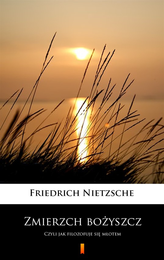 okładka Zmierzch bożyszczebook | epub, mobi | Friedrich Nietzsche